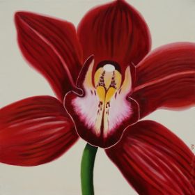 Orchidee-Vanguard-60x60.jpg